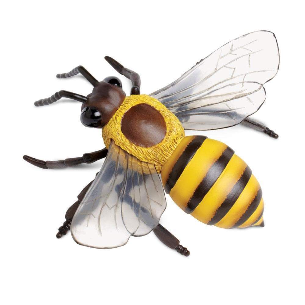 Honeybee Toys au (@honeybeetoys) / X