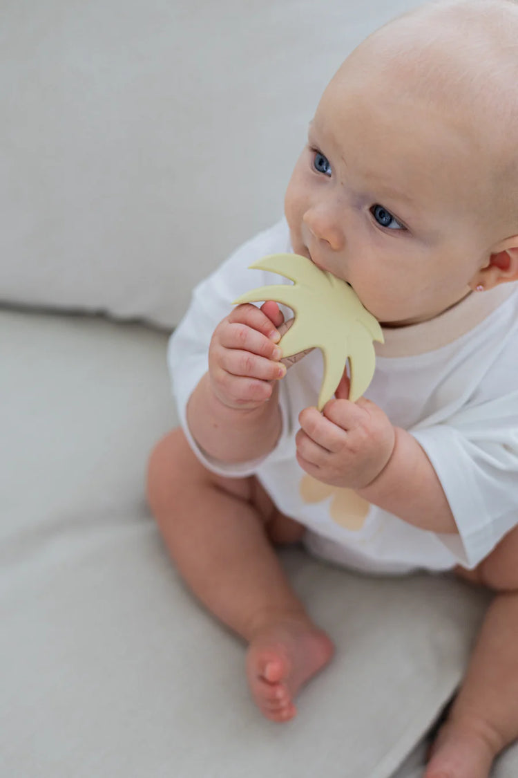 Silicone Teether - Palm