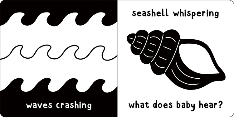 What Does Baby See? - At The Sea - A High Contrast Board Book