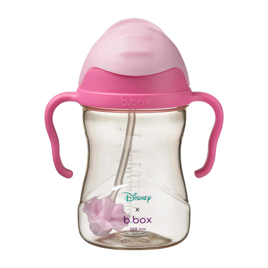 Disney - Aurora Sippy Cup