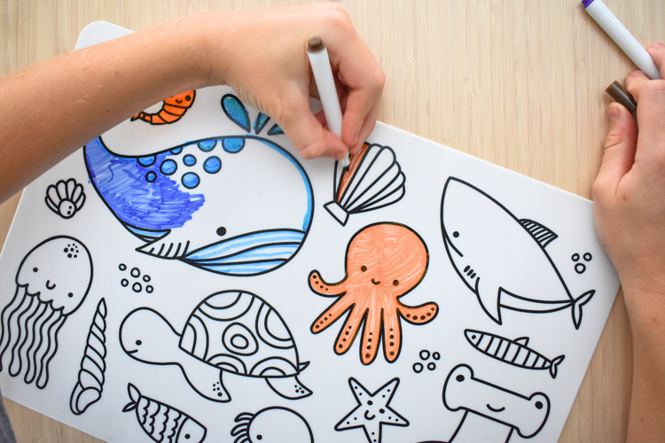 Reusable Silicone Drawing Mat