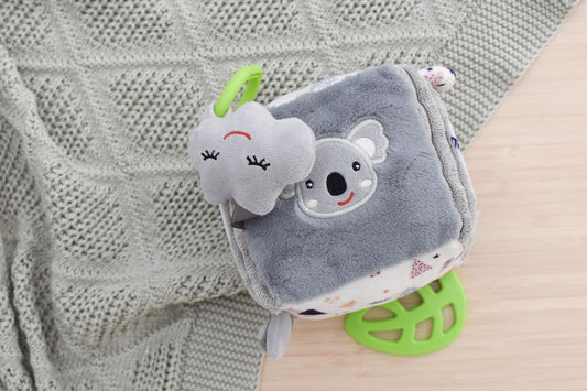 Snuggle Buddy Discovery Cube