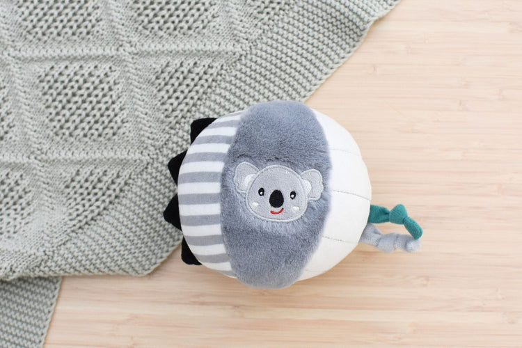 Snuggle Buddy Textured Ball