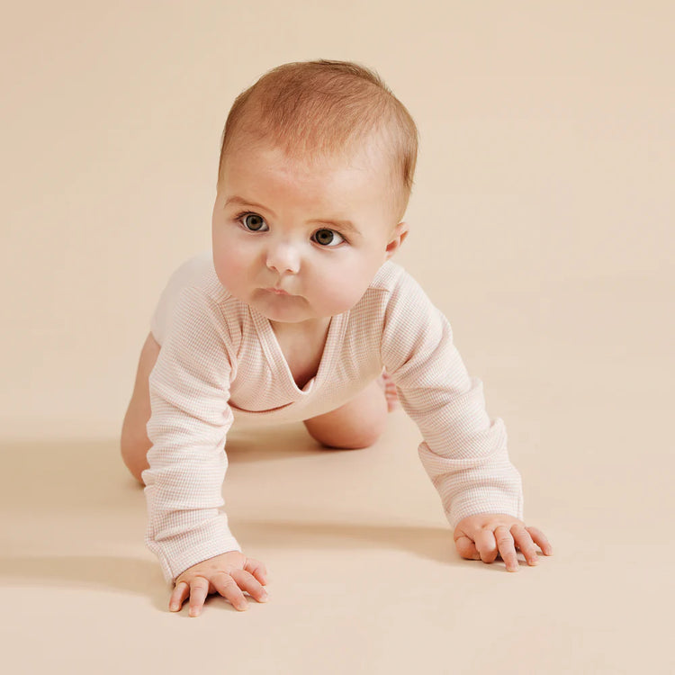 Organic Stripe Rib Kimono Bodysuit - Cantaloupe