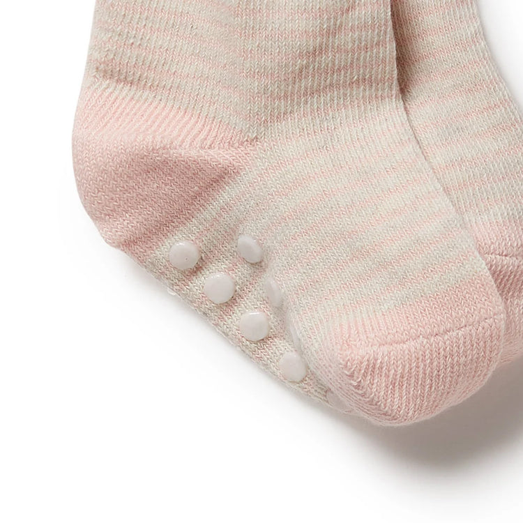 3 Pack Baby Socks - Cantaloupe