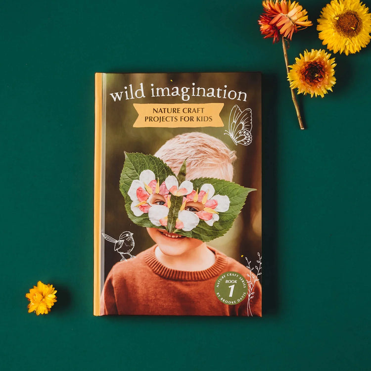 Wild Imagination Book