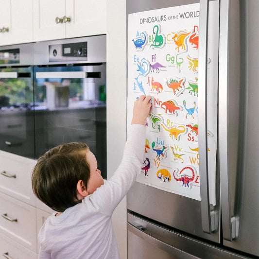 Magnetic Dinosaurs and Letters