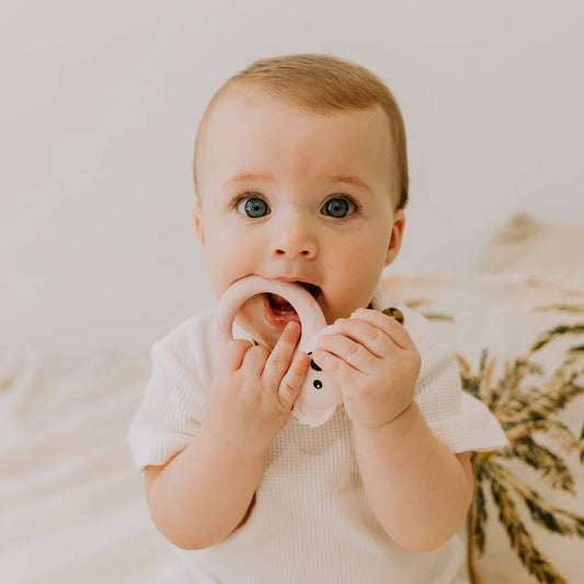 Koala Teether